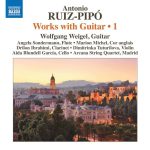 works with guitar 1 Ruiz-pipo